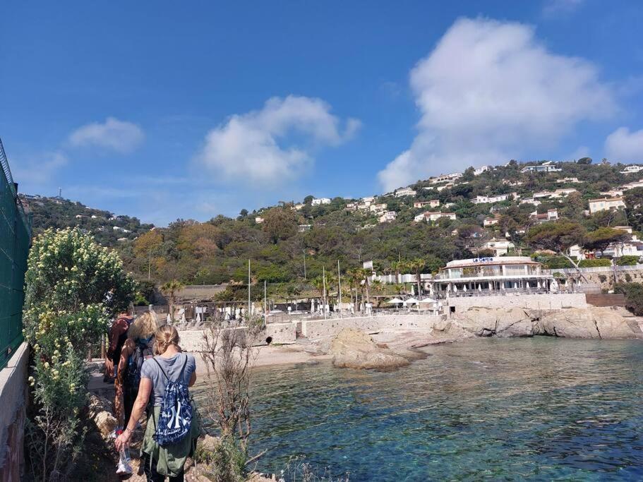 Charmant Mazet - Plage A Pied Saint-Peïre-sur-Mer المظهر الخارجي الصورة