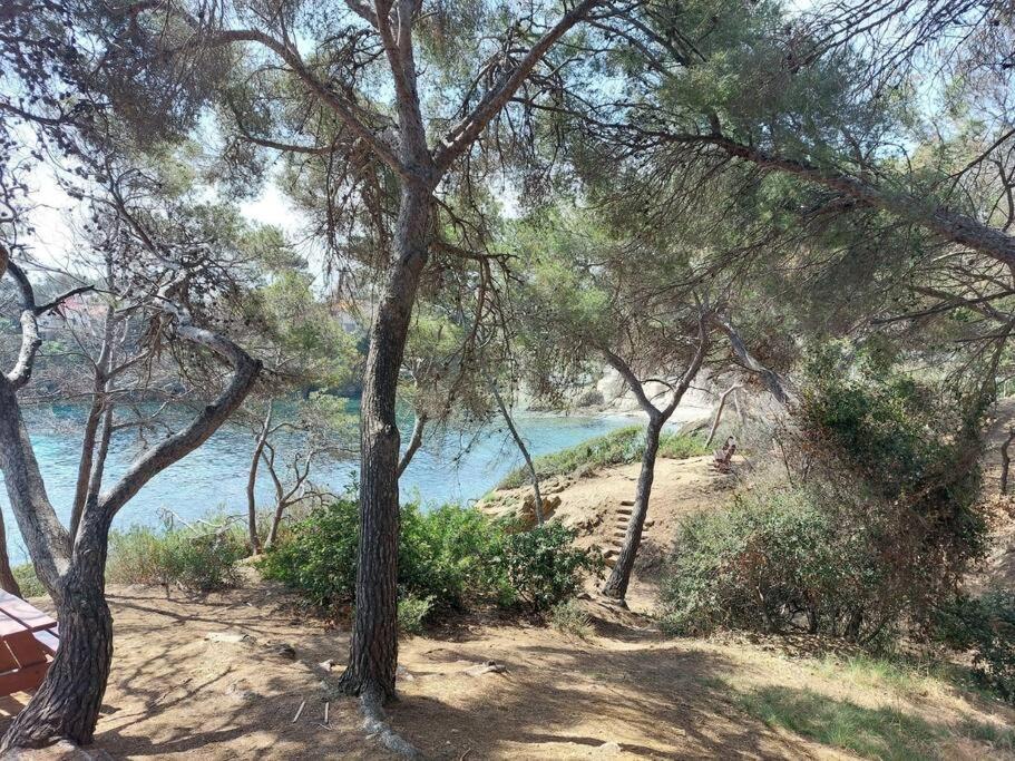 Charmant Mazet - Plage A Pied Saint-Peïre-sur-Mer المظهر الخارجي الصورة